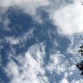 IMG_3310