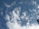 IMG_3311.JPG.thumb.