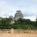 IMG_3113
