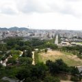 IMG_3146p