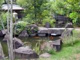 IMG_3175.JPG.thumb.