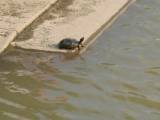 IMG_3188.JPG.thumb.