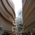 IMG_2704