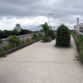 IMG_2479