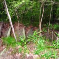IMG_2524