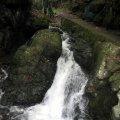 IMG_2532
