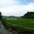 IMG_2555