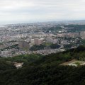 IMG_2834p