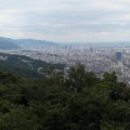 IMG_2843p