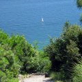 IMG_2876