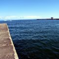 IMG_2890