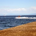 IMG_2899