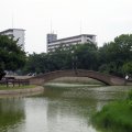 IMG_2568