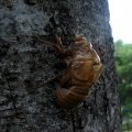 IMG_2572