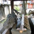 IMG_2588