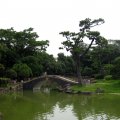 IMG_2598