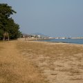 IMG_3790
