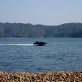 IMG_3793