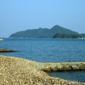 IMG_3795