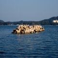 IMG_3800