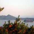 IMG_3825