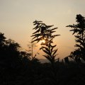 IMG_3840