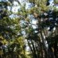 IMG_3788.JPG.thumb.