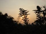 IMG_3840.JPG.thumb.