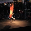 IMG_3591
