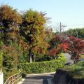 IMG_3660