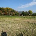 IMG_3663