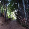 IMG_3670