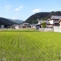 IMG_3679p