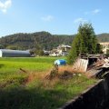 IMG_3693
