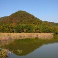 IMG_3703