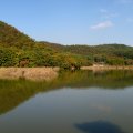 IMG_3705p