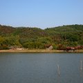 IMG_3710