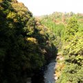 IMG_3888