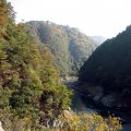 IMG_3891