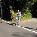 IMG_3901