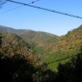 IMG_3912