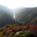 IMG_3919