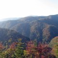 IMG_3932p