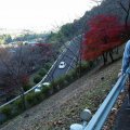 IMG_3939a