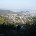 IMG_3940