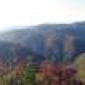IMG_3932p.JPG.thumb.