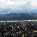 IMG_4144p