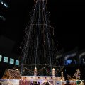 IMG_3969