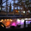 IMG_4171