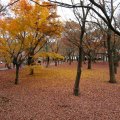IMG_4085